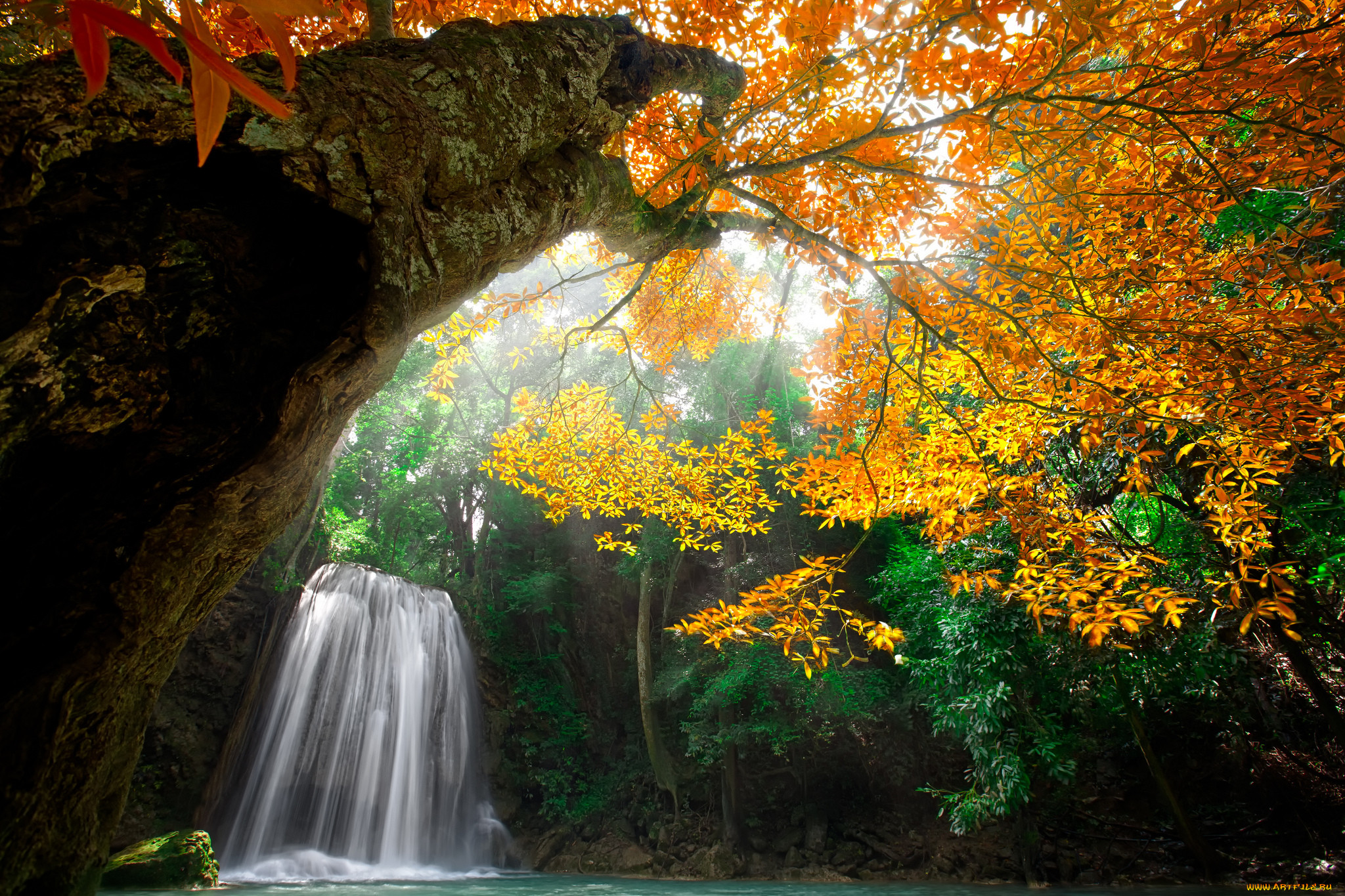 , , nature, water, waterfall, forest, park, trees, leaves, colorful, autumn, fall, colors, , , , , , , 
